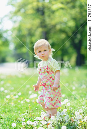 Baby on dandelions field Baby on dandelions field 14791827