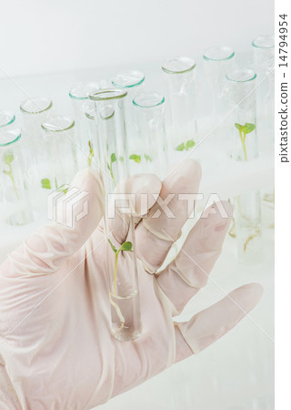 Biosciences Biosciences 14794954