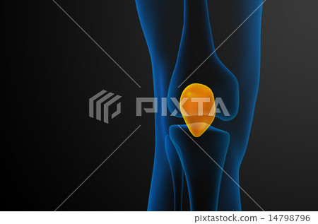 3d render medical illustration of the patella bone 14798796