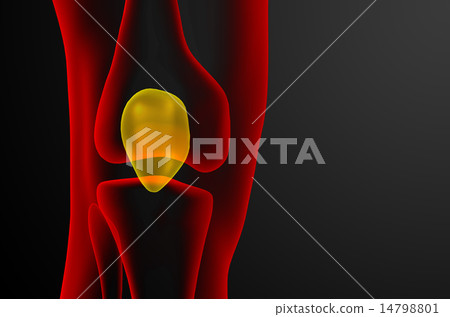 3d render medical illustration of the patella bone 14798801