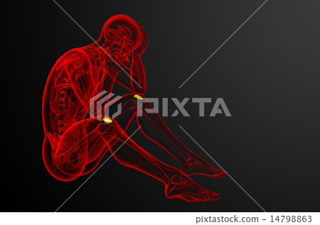 3d render medical illustration of the patella bone 14798863