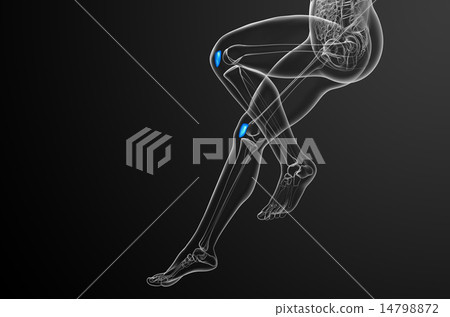 3d render medical illustration of the patella bone 14798872