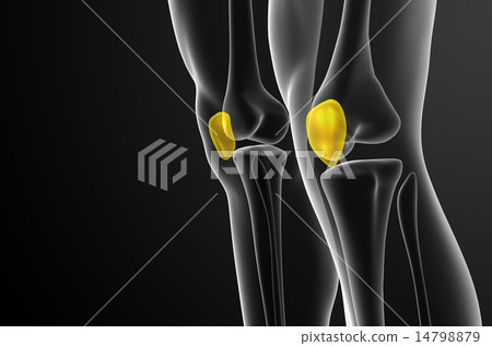 3d render medical illustration of the patella bone 14798879