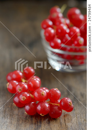 Red currants Red currants 14799484