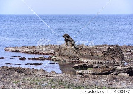 Okuto的哥斯拉岩石 Okuto的哥斯拉岩石 14800487