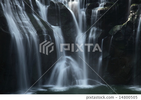 Xi Feng Fabric Xi Feng Fabric 14800505