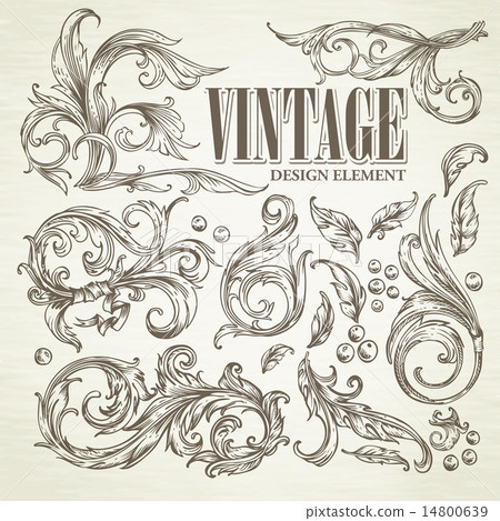 Vintage design elements. Retro card. Vector illustration 14800639