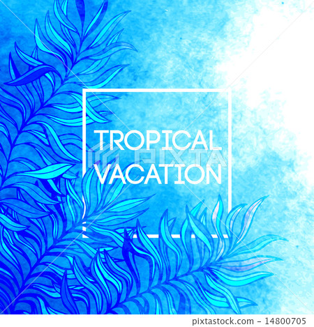 Summer time. Vector illustration of tropical palm leaves 14800705