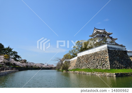 岸和田城堡在春天 岸和田城堡在春天 14800982
