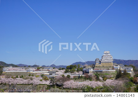 姬路城堡塔和西野丸 14801143