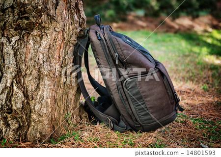 Black photography bag in the forest 14801593