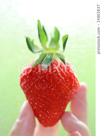 Strawberries 14801637