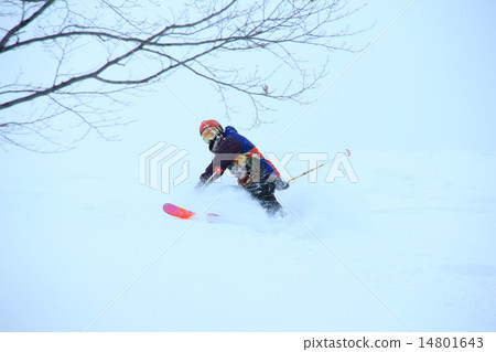 Powder run 14801643