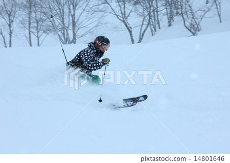 粉末運行 14801646