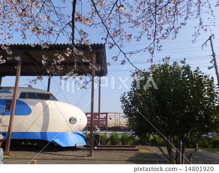 Shinkansen and cherry blossoms 14801920