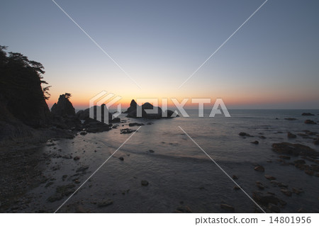 Sasagawa Flow 14801956