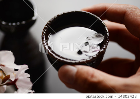 Hanami liquor sake cherry tree 14802428