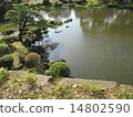 一個池塘 14802590