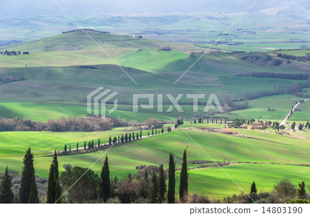 托斯卡納，意大利的意大利風景 14803190