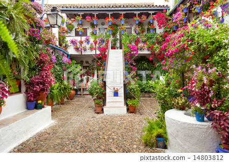 Courtyard with Flowers decorated - Spain Courtyard with Flowers decorated - Spain 14803812