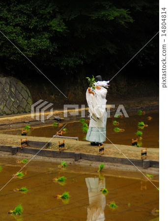 神社反映在神田 14804814