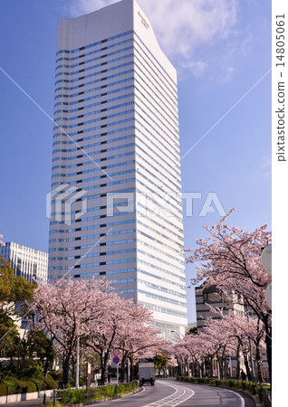 Yokohama Sakura Avenue Yokohama Sakura Avenue 14805061