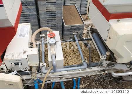 Seeding of rice 2 Seeding of rice 2 14805340