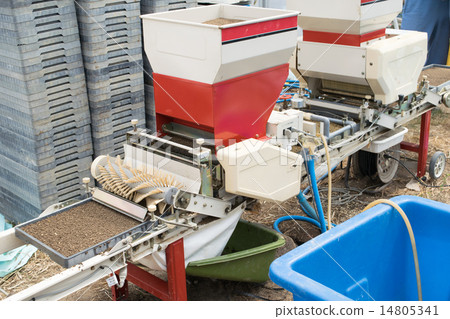 Seeding of rice 3 Seeding of rice 3 14805341
