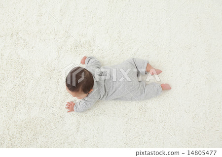幼兒 嬰兒 寶寶 14805477