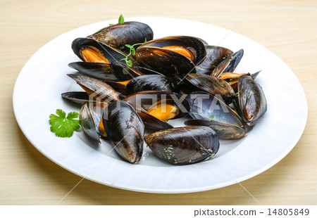 Boiled mussels 14805849