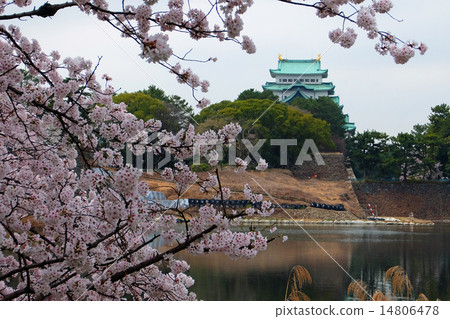 Sakura and Nagoya Castle Sakura and Nagoya Castle 14806478