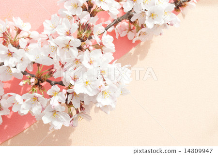 春天的形象 春天的形象 14809947