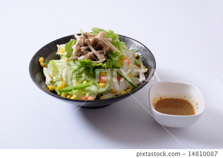 沙拉用被分類的蘑菇滷汁 沙拉用被分類的蘑菇滷汁 14810087