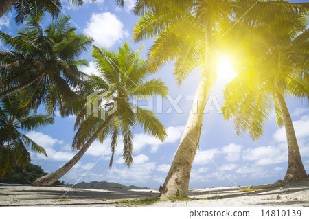 La Digue island, Seyshelles, Anse Source d'Argent. 14810139