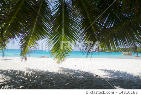 The island of dreams. Rest and relaxation. 14810168