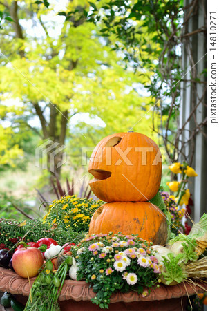 Pumpkin object Halloween Pumpkin object Halloween 14810271