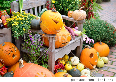 Pumpkin object Halloween 14810275