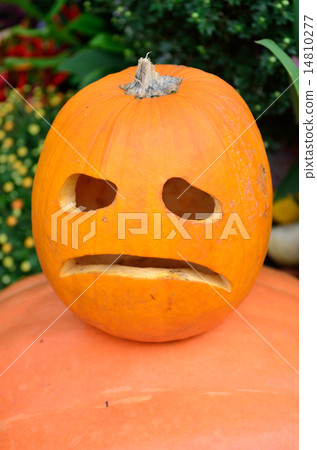 南瓜臉 14810277