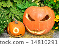 Pumpkin face 14810291