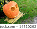 Pumpkin face 14810292