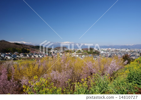Hanamiyama的福島市和Azuma山 14810727