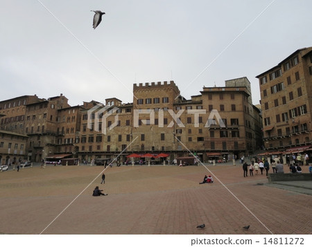 Campo square 14811272
