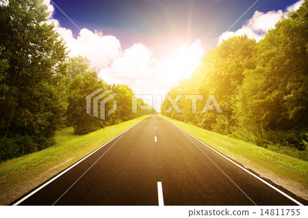 Asphalt road in green forest. 14811755