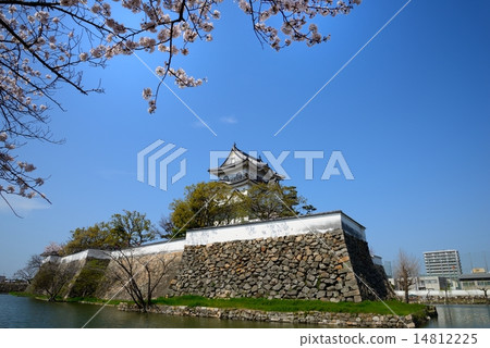 岸和田城堡在春天 14812225