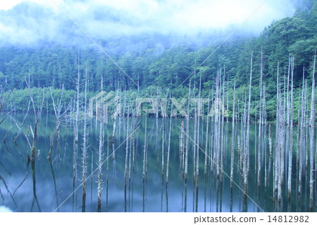 Morning nature lake 14812982