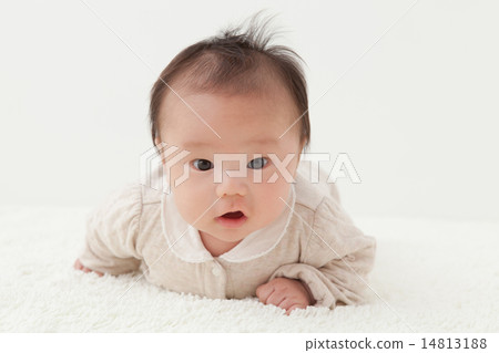 infant, lay down, lie down 14813188