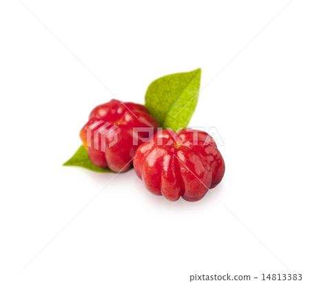 Suriname Cherry, the tropical fruit 14813383