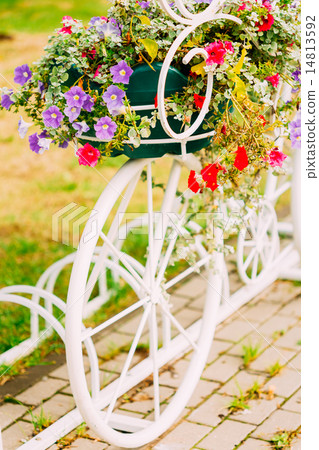 White Decorative Bicycle Parking In Garden White Decorative Bicycle Parking In Garden 14813592