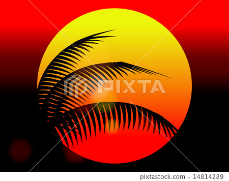 summer holiday sunset and coconut tree 14814289