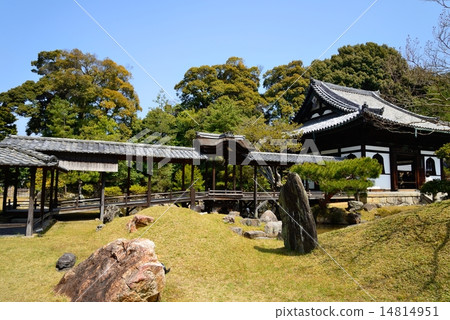 京都高台寺花園 京都高台寺花園 14814951